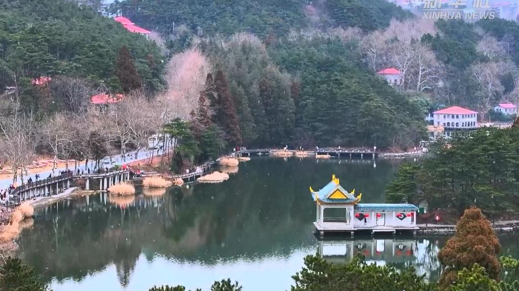 飞雪迎春 庐山风景区现“风飘雪”美景