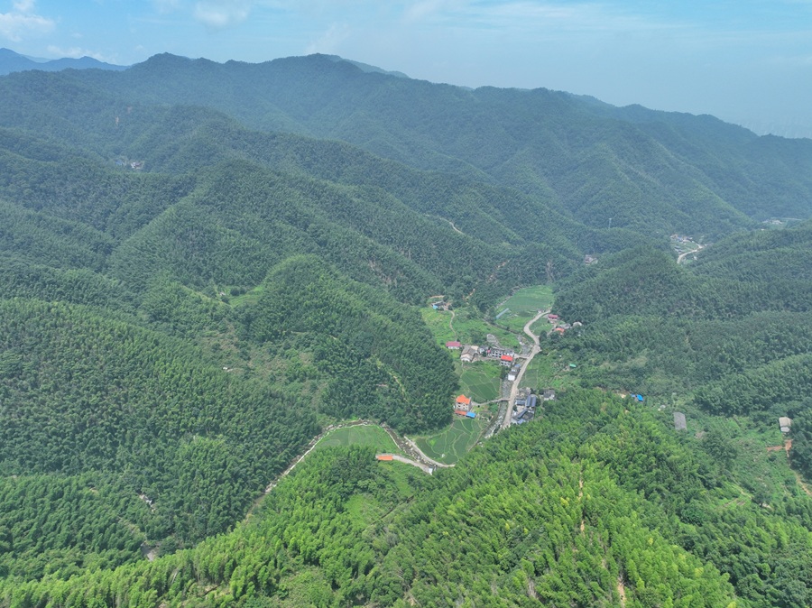 江西芦溪：夏日山村景如画