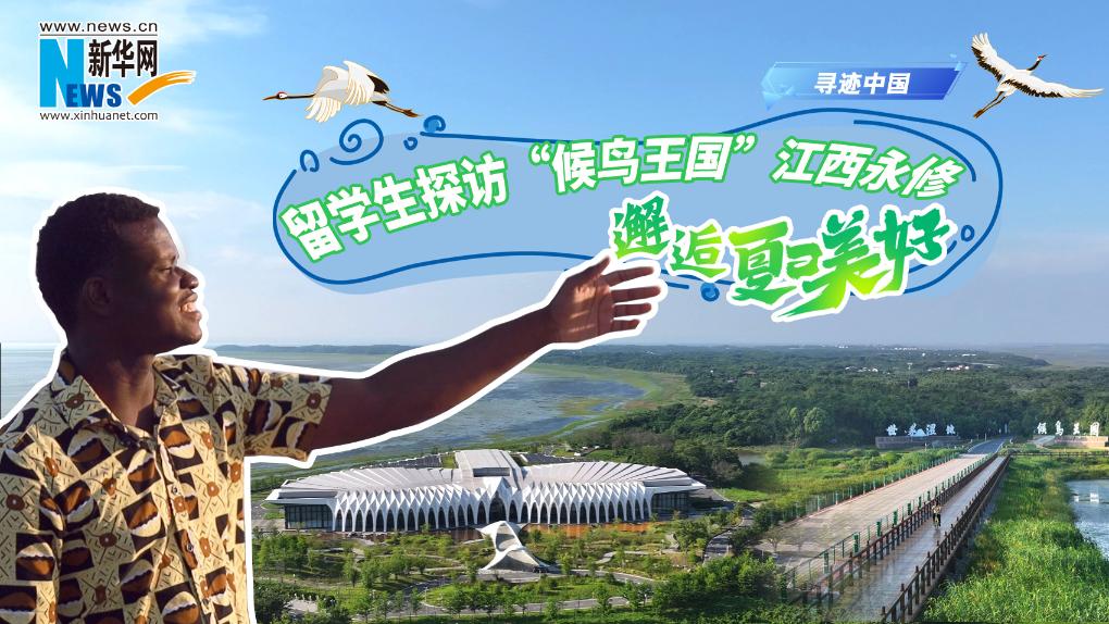 寻迹中国｜留学生探访“候鸟王国”江西永修，邂逅夏日美好