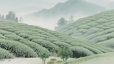 100首古诗词里的大美江西｜和欧阳修一起品双井茶