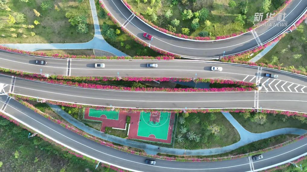 江西赣州：“空中花廊” 上线！高架三角梅美出圈