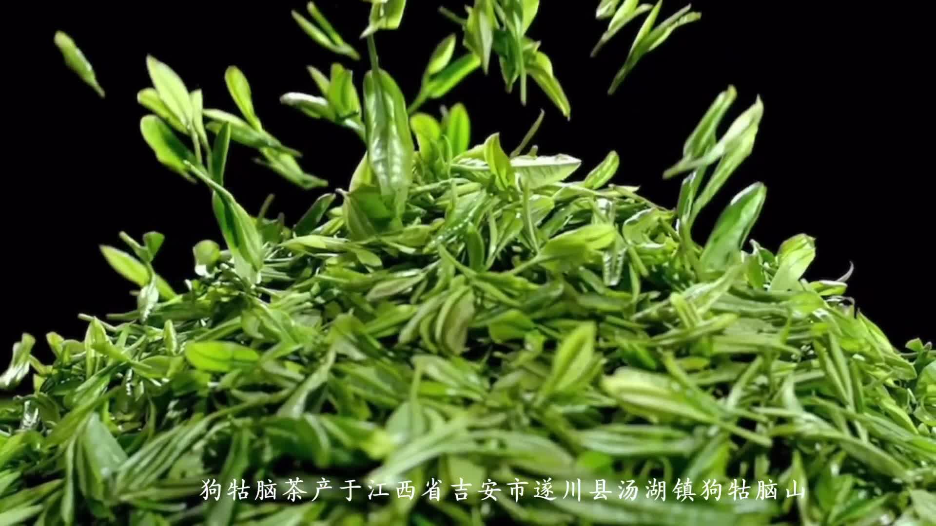 狗牯脑茶：从罗霄山脉清泉边走来的“硒锌绿茶”