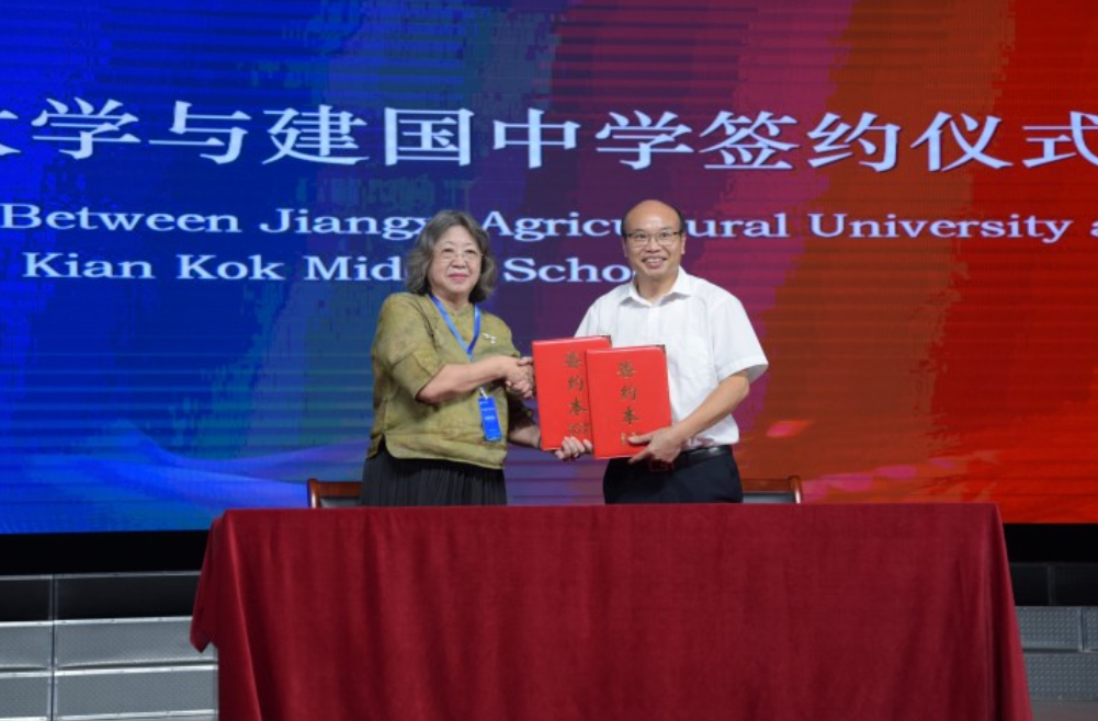 Laying the Foundation for Institutionalized Cooperation: Building International Education Partnerships