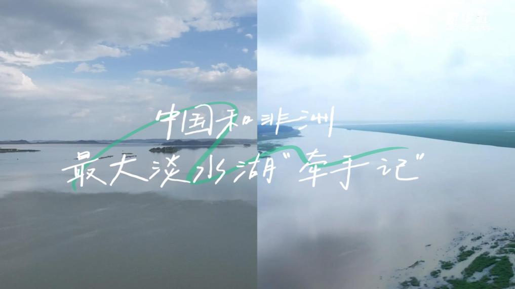 中国和非洲最大淡水湖“牵手记”