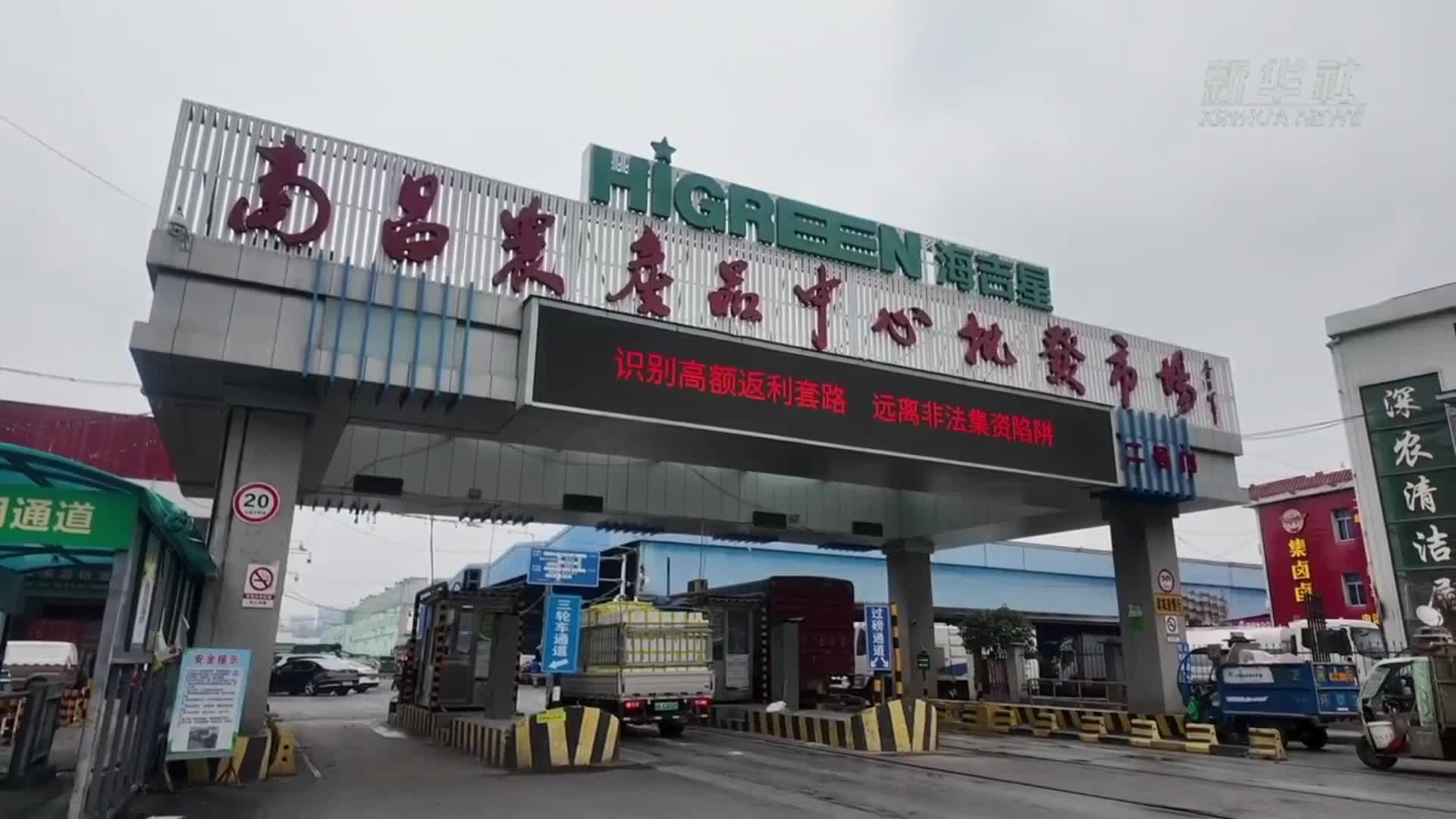 江西南昌：寒潮来袭“菜篮子”供应充足 价格平稳