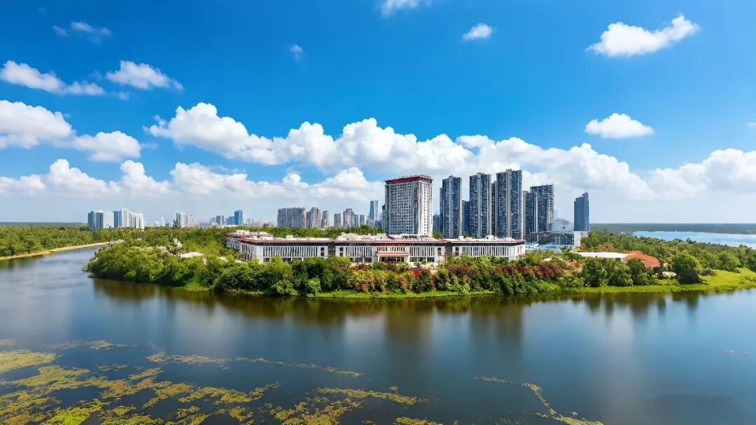 岐黄赋能守初心 医德铸魂惠民生