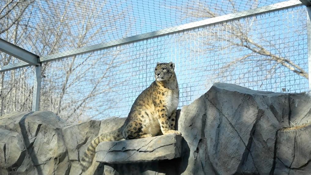 　　■从捕鱼人到“江豚卫士” 守