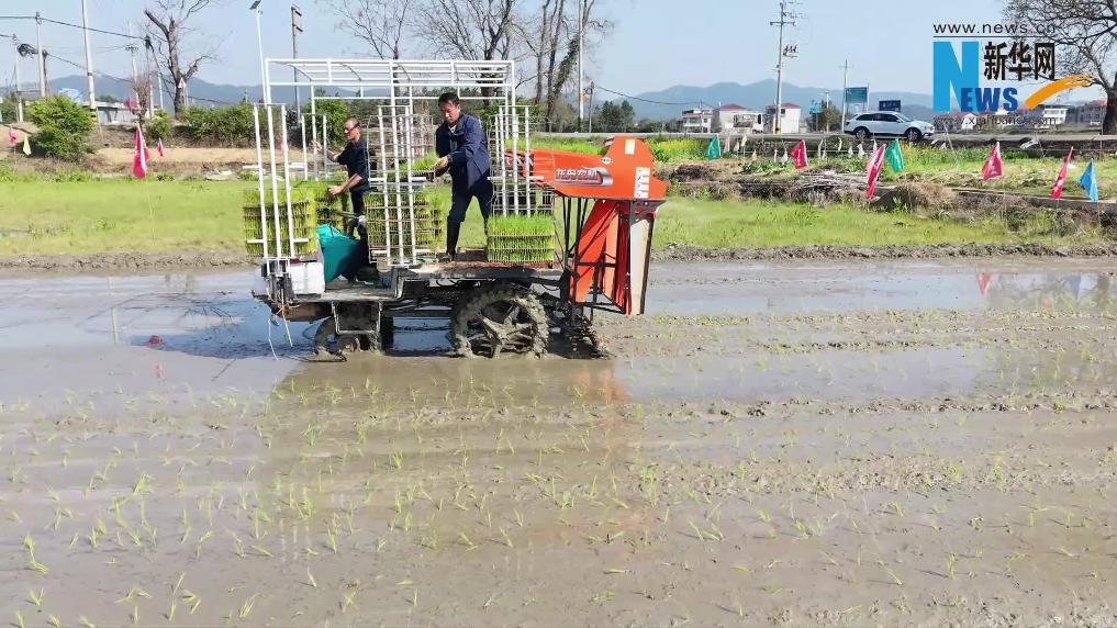 江西广昌:田间课堂传农技 科技助农促春耕