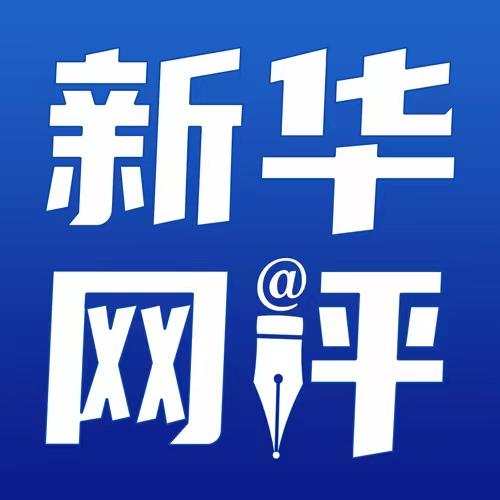 新华网三评之三：本该做好“店小二”，就不要硬做“股东”
