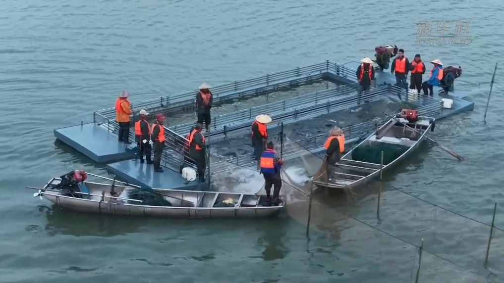 江西湖口：首轮秋捕鲜鱼上市
