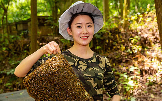 【新华访谈】司燕燕：青春在“蜂”中飞扬 产业在“蜜”中致富