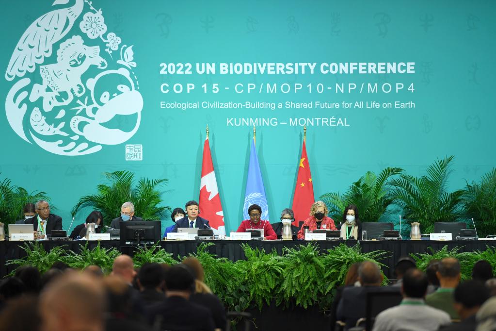 《生物多样性公约》第十五次缔约方大会（COP15）第二阶段会议开幕